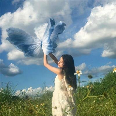 护花特警